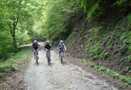 Noleggio mountain bike / Najem gorskih koles / Mountainbike hire / Mountainbike-Verleih